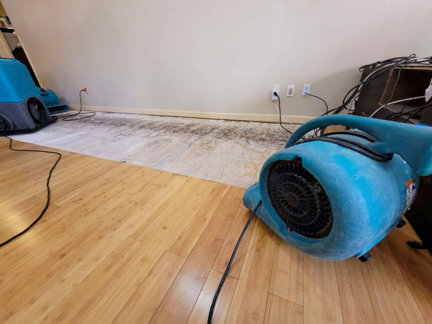 Professional Basement Flood Cleanup technician working in Cranberry, PA